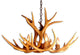 Mule Deer Single Tier Antler Chandelier Light, Xxl, No Shades