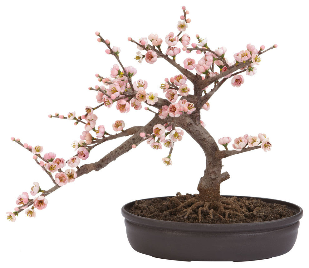 Cherry Blossom Bonsai Silk Tree