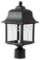 Decorative Outdoor Orchid Post Fixture Black Clear Lens