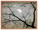 Deny Designs Shannon Clark Silver Sky Rectangular Tray
