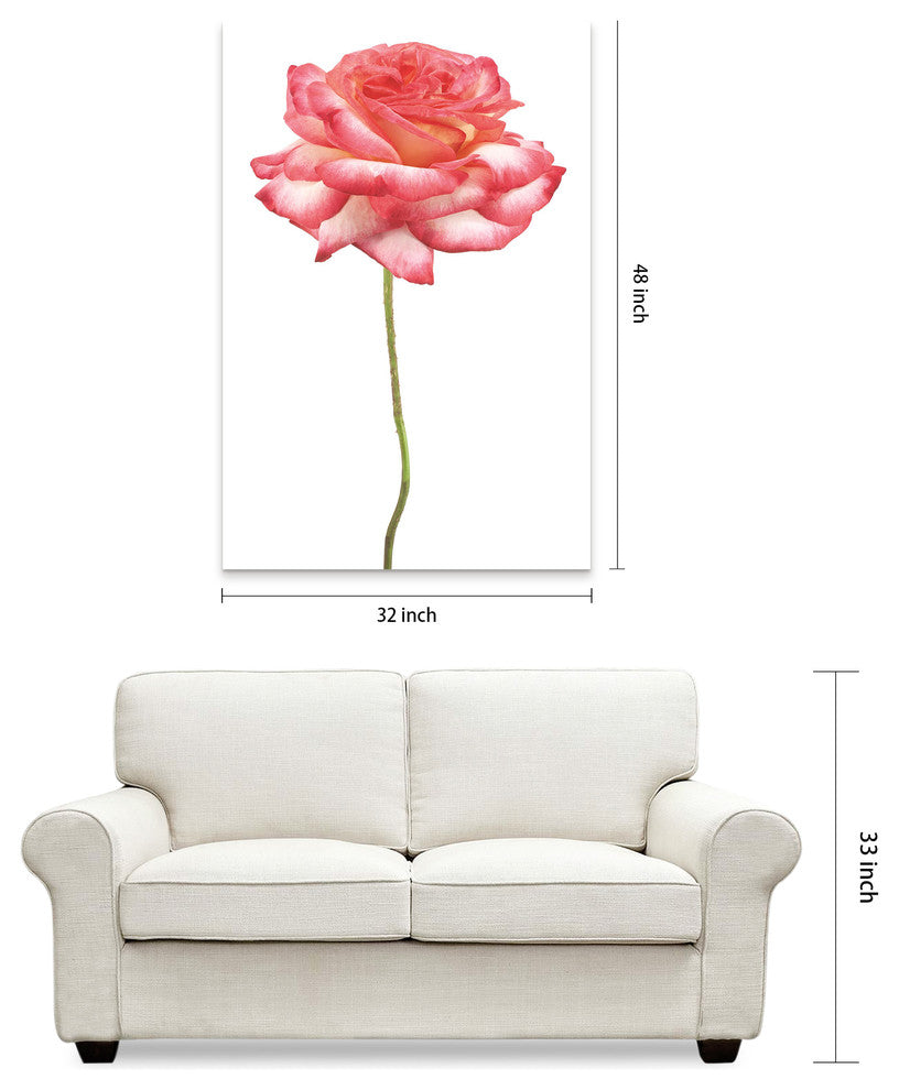 Pink Rose Wall Art Frameless Free Floating Tempered Art Glass, 32"x 48"