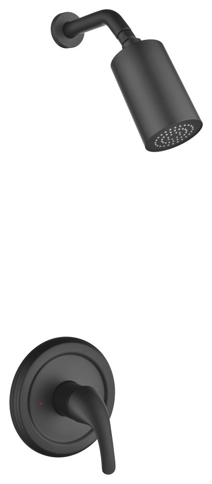 Single Handheld Shower Faucet