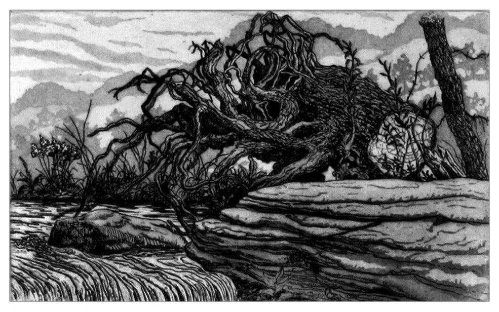 Jack Beal "Dam and Stump" Etching