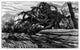 Jack Beal "Dam and Stump" Etching