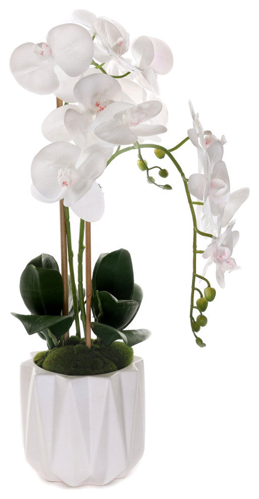Real Touch Phalaenopsis Orchids in White Dimensional Pot