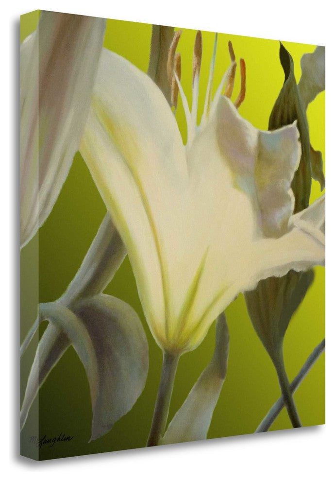 "Lily Green" By Jan Mclaughlin,Ready to Hang Giclee Print on Gallery Wrap Canvas