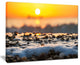"Sunrise Giving Color For Sea Waters" Seashore Wall Art, 40"x30"