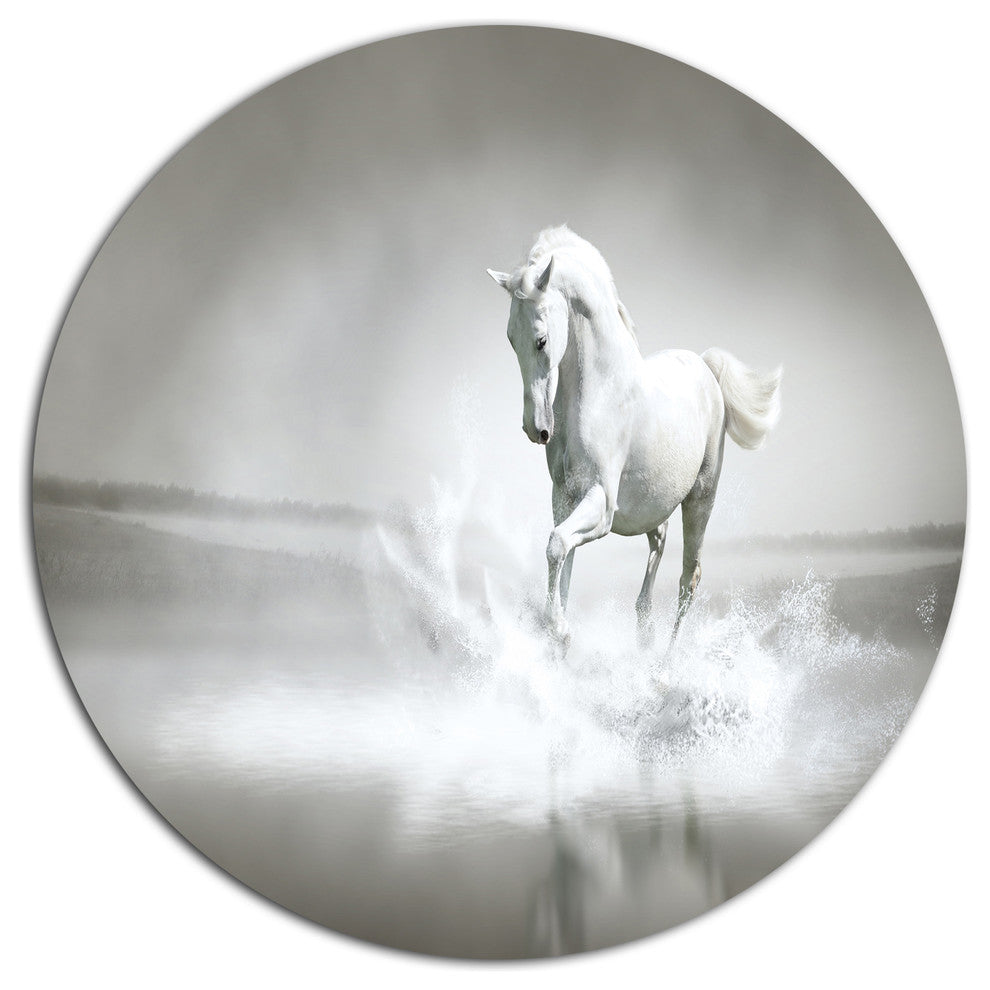White Horse Running In Water, Animal Large Disc Metal Wall Art, 36"
