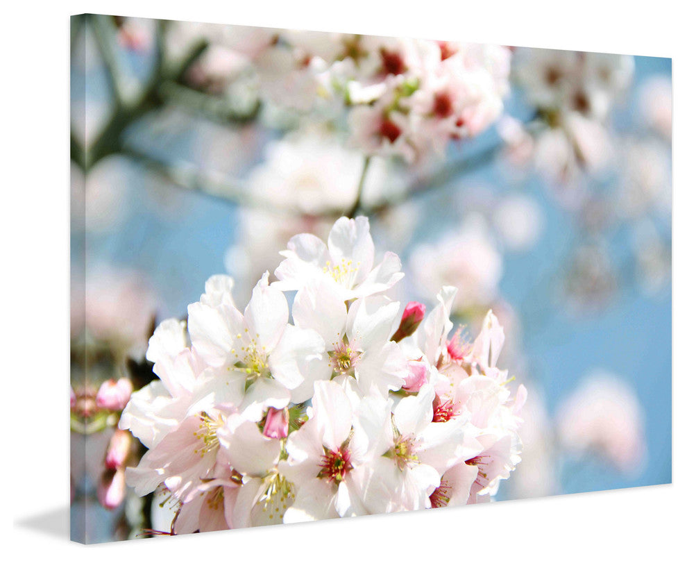 "Dreaming of Spring" Painting Print on Canvas by Irena Orlov