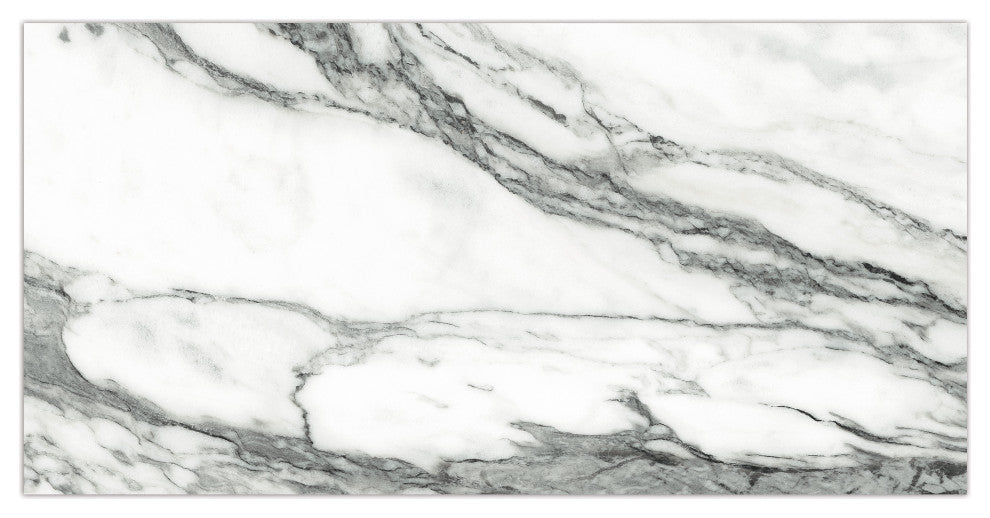 Touche Zebre Porcelain Floor/Wall Tile