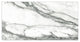 Touche Zebre Porcelain Floor/Wall Tile