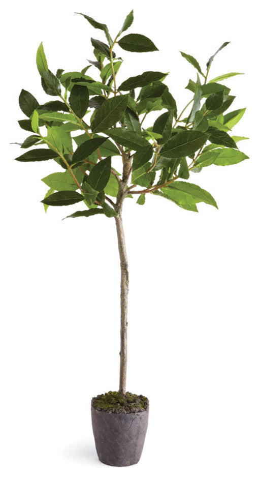 Artificial Bay Leaf Tree Drop-In Plant