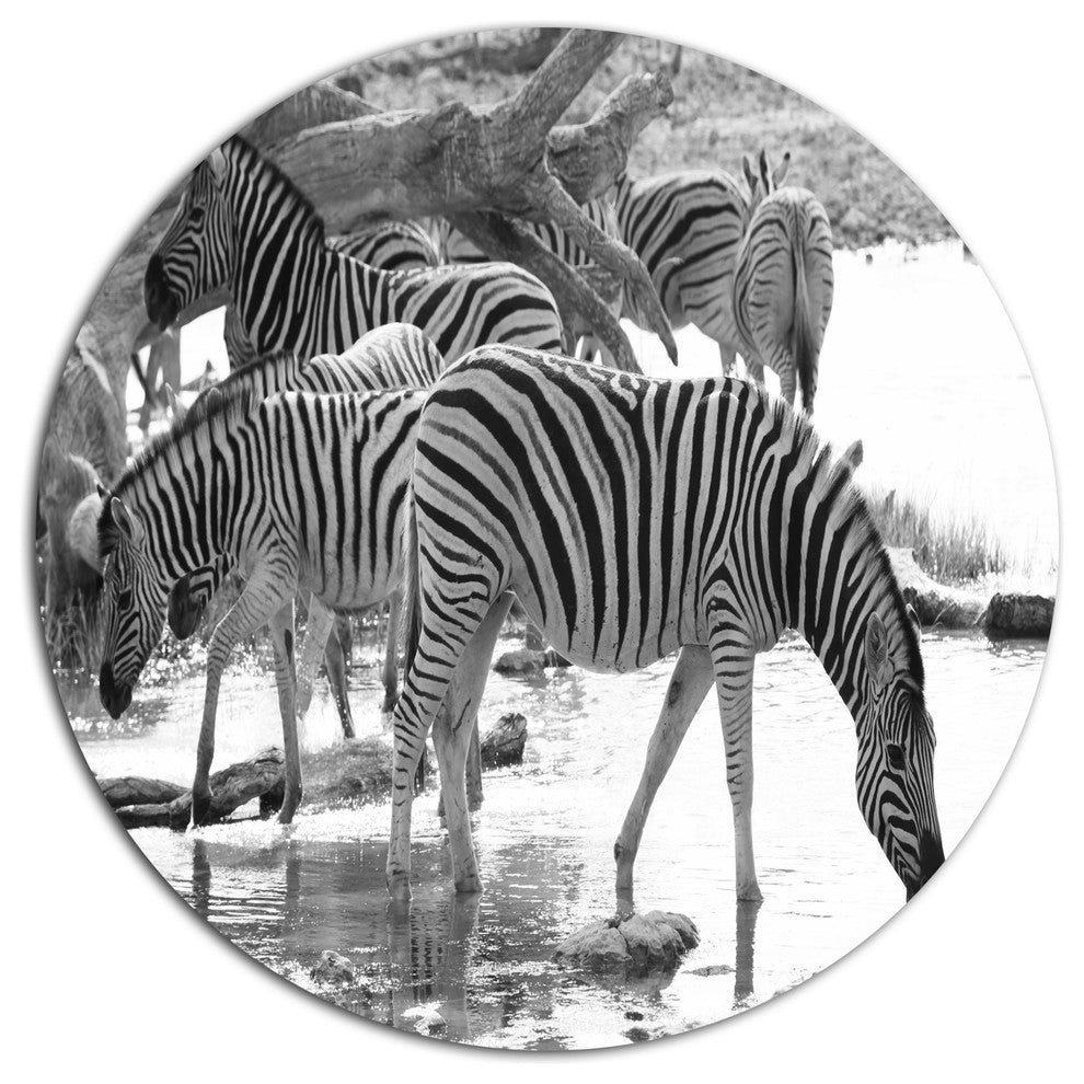 Herd Of Zebra Black And White, African Disc Metal Wall Art, 11"