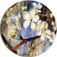 White Spring Flowers, Floral Round Wall Art, 11"