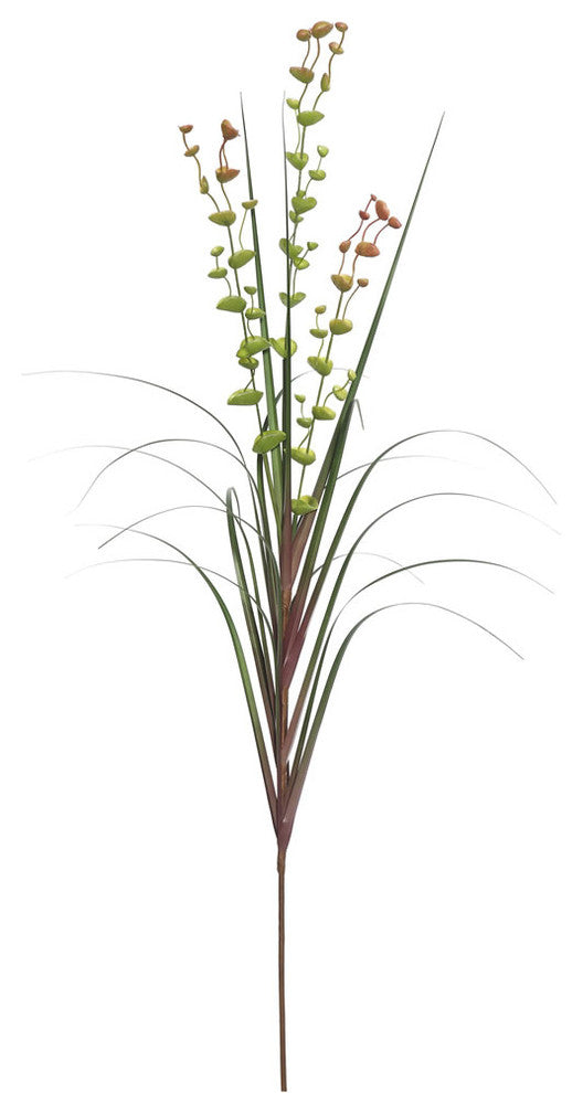 24" Eucalyptus Grass Potted