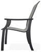 St. Catherine Sling Outdoor Armchair, Alloy/Black
