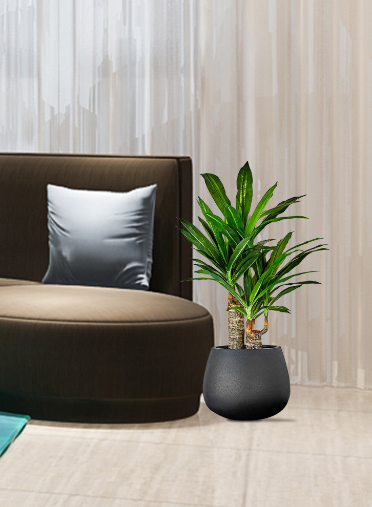 Faux Dracaena in Black Pot, 35"