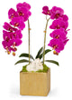 Doubl White Orchid in Gold Square, Fuschia