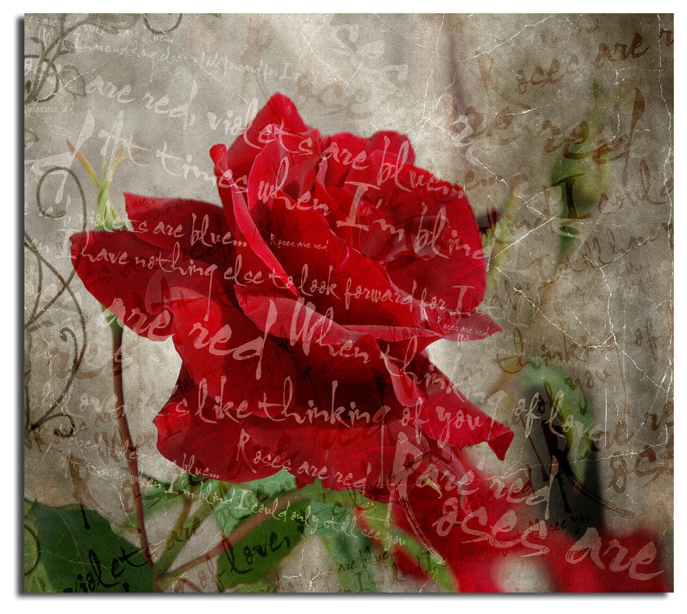Roses are Red III Canvas Wall Art