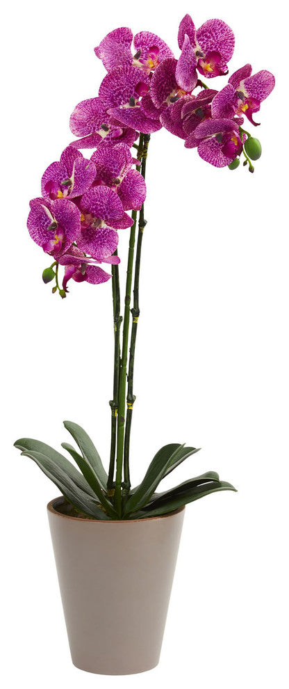 24" Speckled Phalaenopsis Orchid Artificial Arrangement