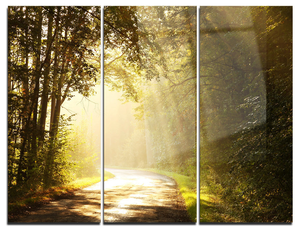 "Bright Sunlight in Fall Forest" Photo Metal Wall Art, 3 Panels, 36"x28"