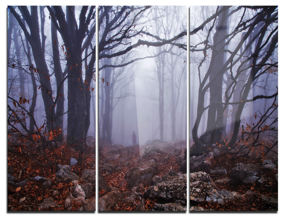 "Dark Foggy Forest in Autumn" Photo Metal Wall Art, 3 Panels, 36"x28"