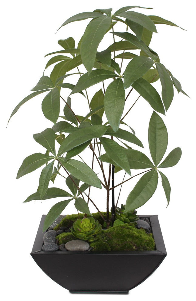 Artificial Chinese Money Tree with Succulents in Black Zinc Pot