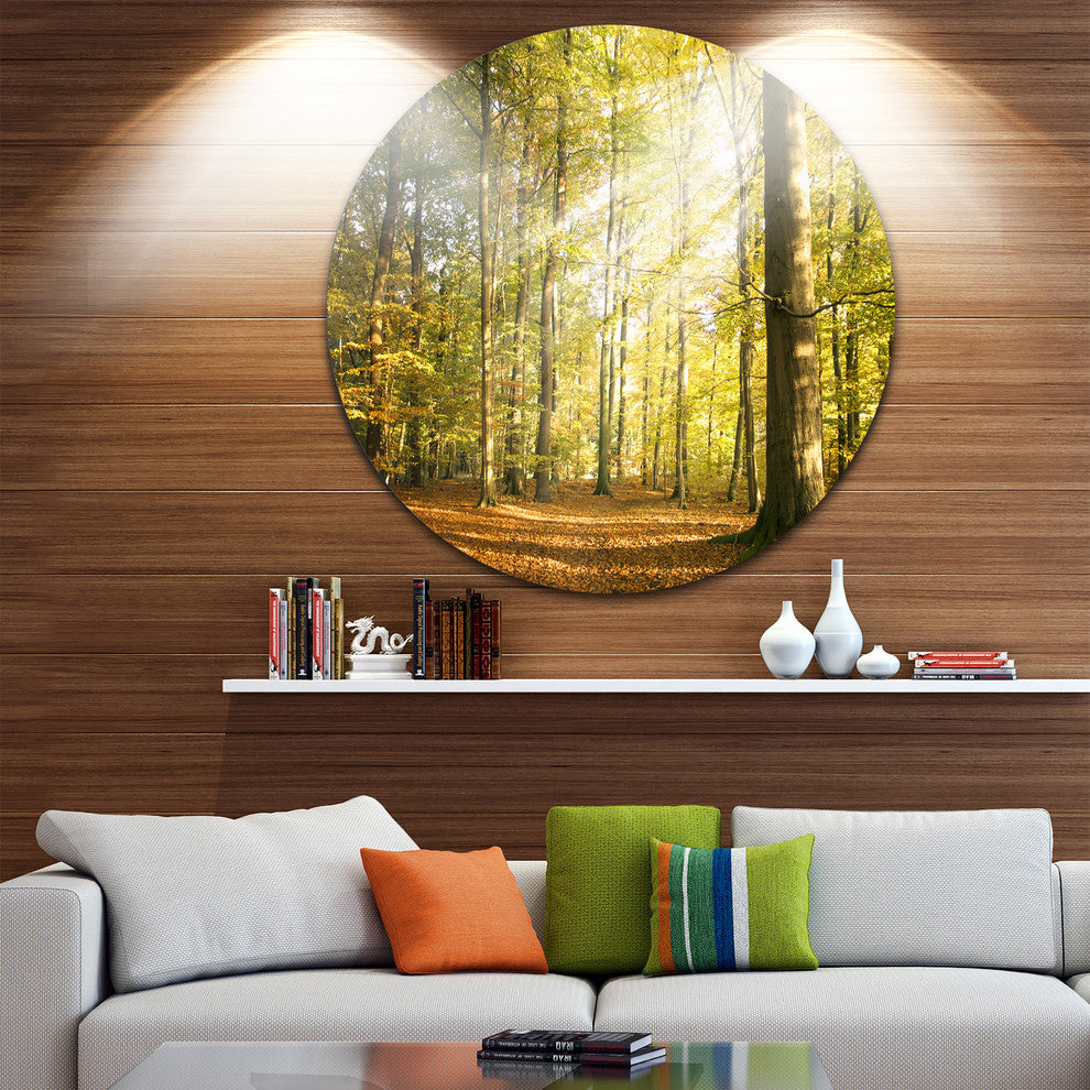 Sun Rays Hitting Forest, Landscape Photo Disc Metal Artwork, 11"