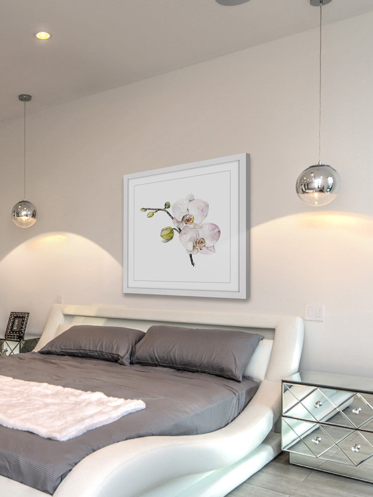 "Orchid" Framed Print by Rachel Byler