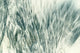 Sandprints Designer Series No.17, 30"x20"