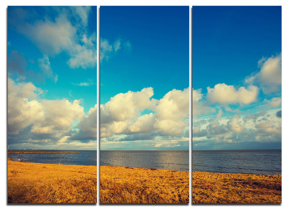"Deserted Brown Sea Coastline" Metal Wall Art, 3 Panels, 36"x28"
