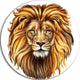 King Lion Aslan, Animal Round Metal Wall Art, 11"