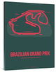 "Brazilian Grand Prix 2" Fine Art Print