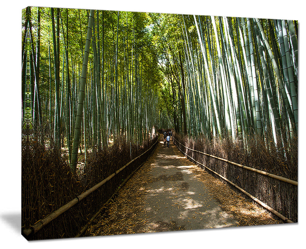 "Wide Pathway in Bamboo Forest" Forest Canvas Wall Art Print, 20"x12"