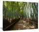 "Wide Pathway in Bamboo Forest" Forest Canvas Wall Art Print, 20"x12"