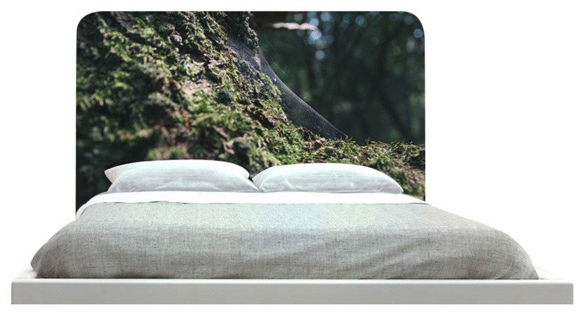 "Spider Web" Headboard
