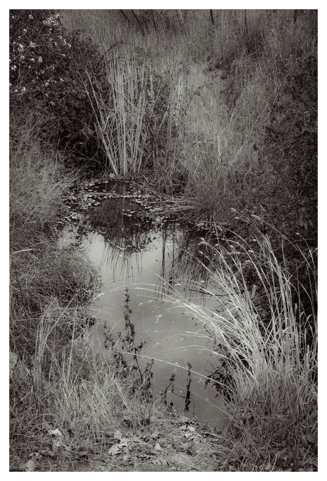 PETALUMA ROAD TRIP #2 BW, 16x24