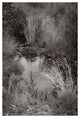 PETALUMA ROAD TRIP #2 BW, 16x24