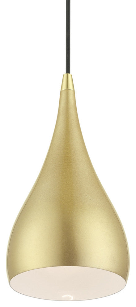 Amador 1 Light Soft Gold With Polished Brass Accents Mini Pendant