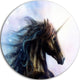 Black Unicorn, Animal Digital Art Disc Metal Wall Art, 11"