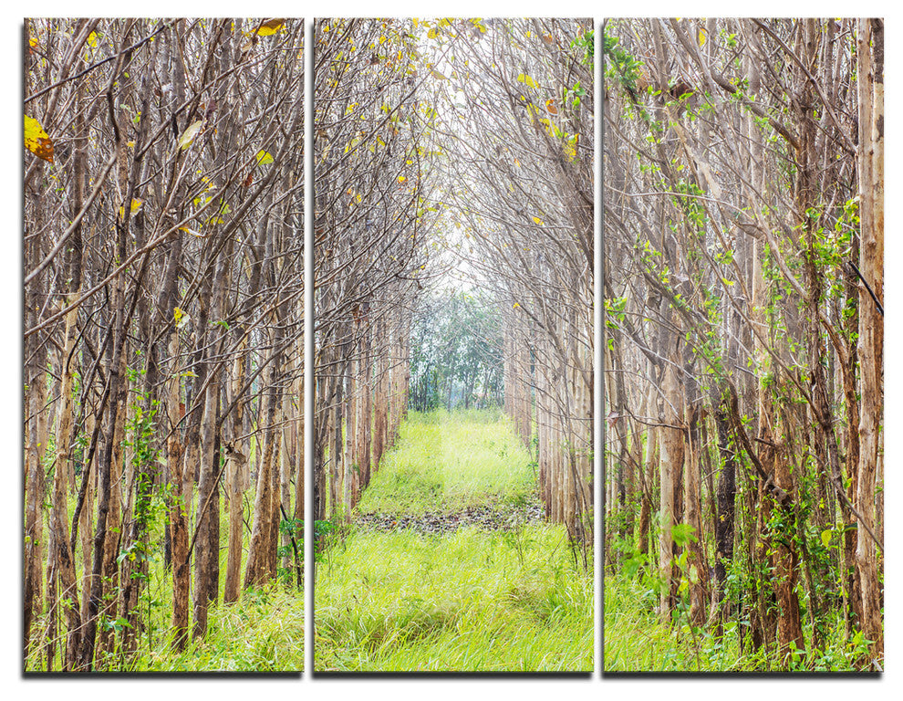 "Pathway Through Fall Green Trees" Photo Metal Wall Art, 3 Panels, 36"x28"