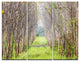 "Pathway Through Fall Green Trees" Photo Metal Wall Art, 3 Panels, 36"x28"