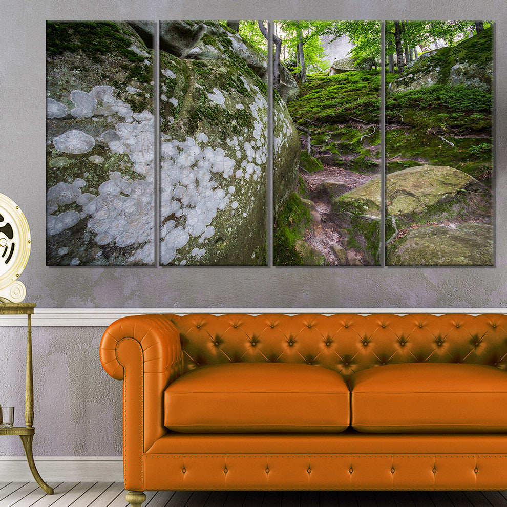 "Large Rocks in Deep Moss Forest" Landscape Art Print Canvas, 4 Panels, 48"x28"