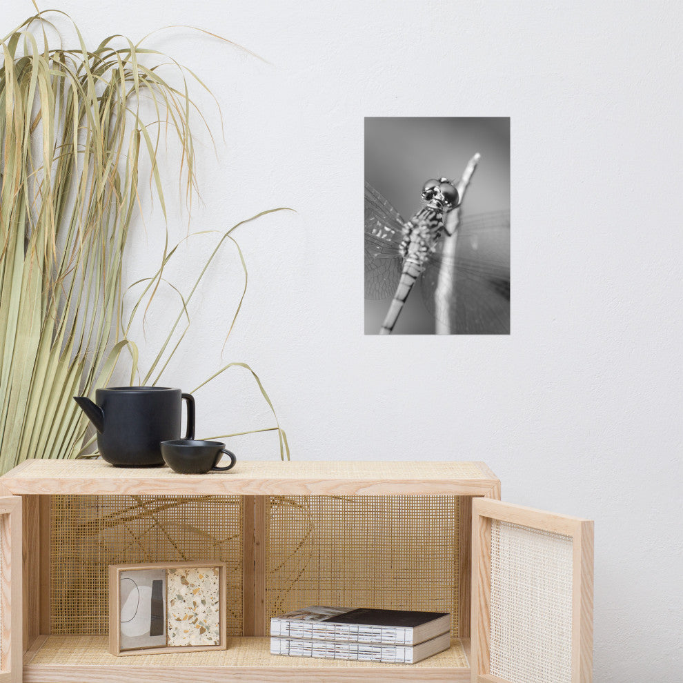 Dragonfly at Bombay Hook Black and White Unframed Wall Art Print, 12" X 18"