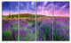 "Summer Lavender Field in Tihany" Modern Landscape Wall Art, 4 Panels, 48"x28"