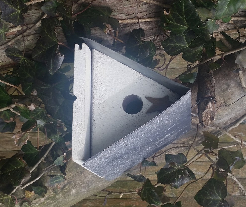 Friendsville Wren House, White