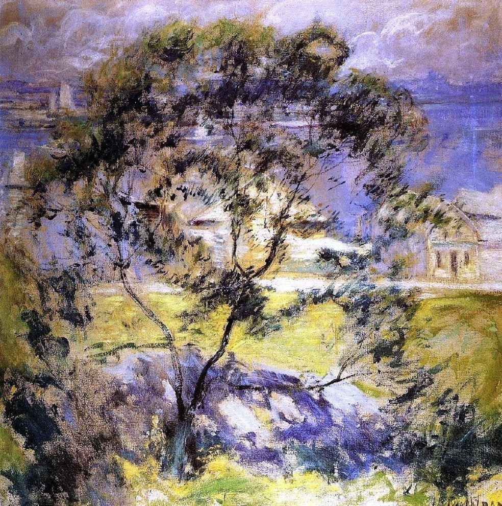 John Twachtman Wild Cherry Tree Premium Canvas Print