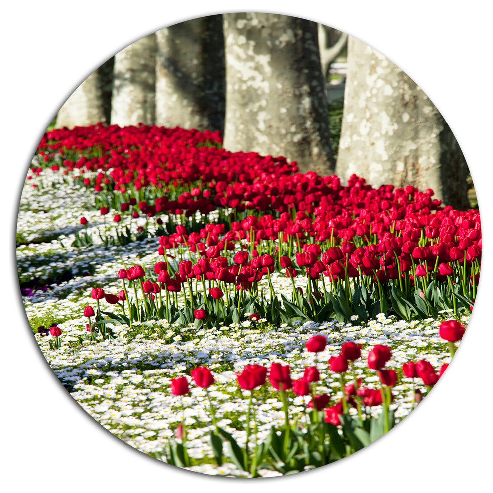 Wild Tulip Flowers In Forest Pasture, Flower Round Wall Art, 11"