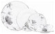 Marchesa by Lenox Dinnerware, Floral Illustrations 5-Piece Dinnerware Place Sett