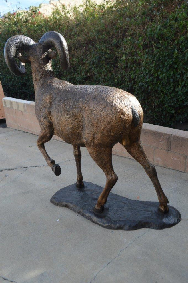 Big horn sheep giant bronze statue -  Size: 45"L x 22"W x 61"H.